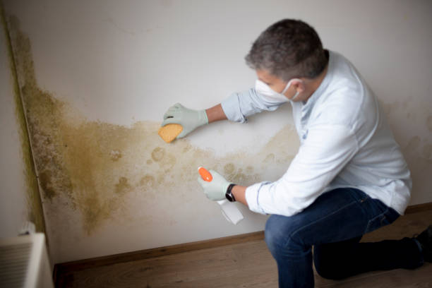 Best Dehumidification Services  in Caddo, OK