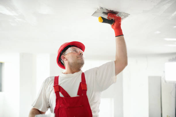 Best Mold Damage Restoration  in Caddo, OK